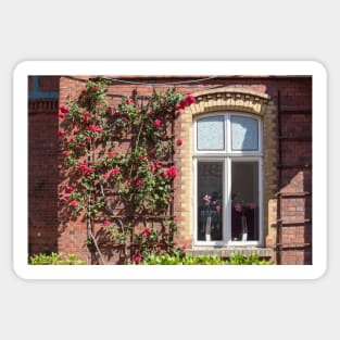 Window with climbing roses, administration building, Nordwolle industrial monument, Delmenhorst, Lower Saxony, Germany, Europe Sticker